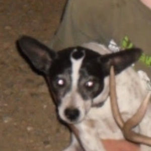 Meet your Posher, Emma